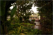 14841_Luang Prabang